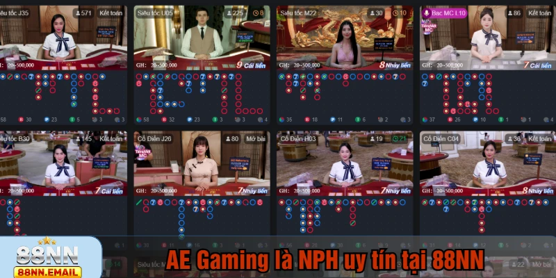 AE Gaming là NPH sòng bài uy tín tại 88NN