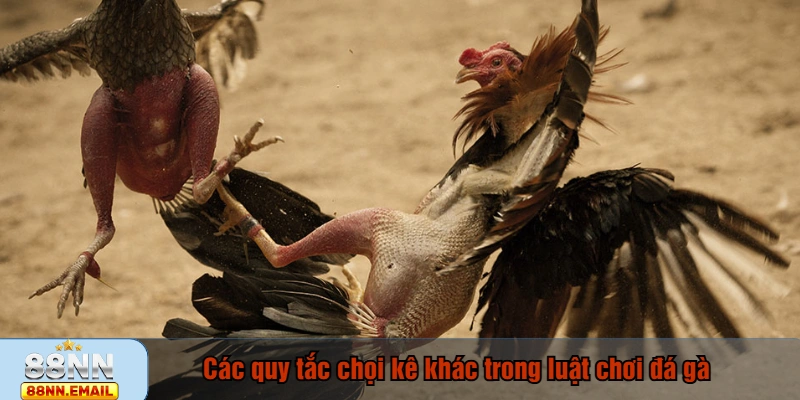 Các quy tắc chọi kê khác trong luật chơi đá gà