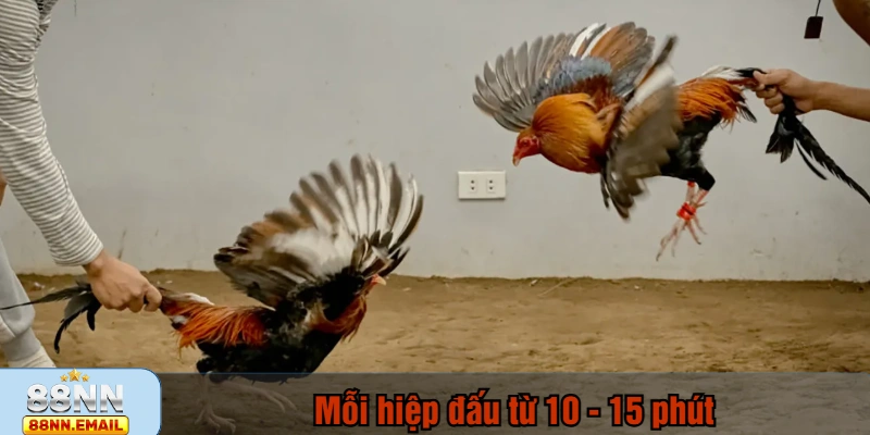 Mỗi hiệp đấu từ 10 - 15 phút